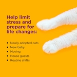 Kit anti-griffures et pulvérisations pour chat Comfort Zone