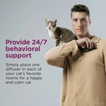 Solution comportementale Comfort Zone pour chat en stress prolongé