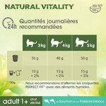 Croquettes favorisant énergie et vitalité chat adulte Perfect Fit Natural