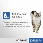 chat d’intérieur adulte savourant sa pâtée poulet saumon