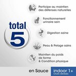 sachets fraîcheur nourriture humide pour chat adulte intérieur
