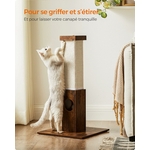 chat adulte qui sétire sur griffoir Feandrea stable