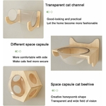Ensemble combiné plafond et mur pour chat gain de place
