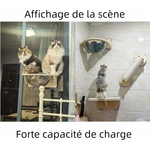 capsule spatiale pour chat observer et se reposer