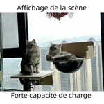 fixation par ventouses murales renforcées 20kg arbre à chat moderne