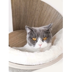 Chat se reposant dans l’abri mural Petrebels Moon