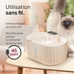 Chat buvant dans une fontaine à eau sans fil Pretty Paw autonomie 45 jours