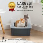 bac à litière XXL pratique pour deux grands chats