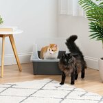 bac litière XXL Iris Ohyama pour Maine Coon gris