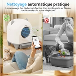 Chat heureux utilisant la litière spacieuse, ambiance harmonieuse maison et animal