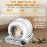 Vue intérieure litière connectée autonome pour chat Maine Coon