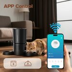 Distributeur croquettes chat automatique