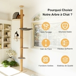 design moderne gris arbre à chat intérieur