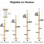 arbre à chat réglable 260 à 300 cm robuste