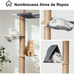 capsule panoramique transparente arbre à chat haut design