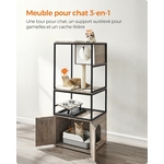 Chat confortablement installé dans la niche de l’arbre