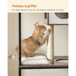 Gamelles surélevées pour chat protégées des chiens