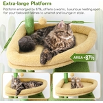 Paniers moelleux suspendus pour chats adultes