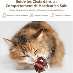 perchoir pour chat sur arbre moderne avec vue fenêtre