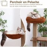 arbre à chat avec niche semi-fermée et coussins amovibles