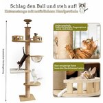 Capsule spatiale transparente pour arbre à chat Mekidulu