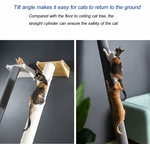 plateforme douillette pour chat dans arbre 150 cm