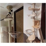 arbre à chat haut plafond PJDDP avec capsule spatiale