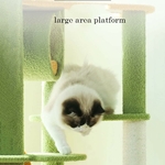 chat relaxant dans le hamac Green Haven