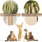 arbre à chat mural gain de place