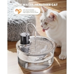 fontaine chat transparente design en verre