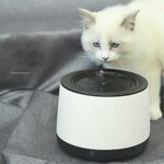 Pompe silencieuse basse consommation pour chat