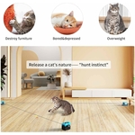 Chat d’intérieur actif sur piste personnalisable Felicity avec plumes colorées