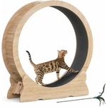 chat jouant sur roue avec jouet à plumes