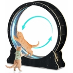 Chat d’intérieur jouant sur grande roue noire
