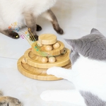 jouet interactif chat intérieur durable