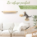 Mur d’escalade pour chat WOOWOOD bois massif avec deux escaliers muraux