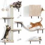 mur d’exercice et observation pour chat domestique