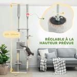 Plateformes multi-niveaux arbre à chat design pour chaton et chat adulte.