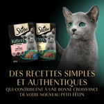 Texture en sauce onctueuse Sheba Kitten image premium.
