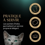 Chaton dégustant repas SHEBA® luxe en sauce.