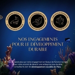 Nourriture naturelle pour chaton premium sans céréales SHEBA®.