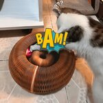 Griffoir pliable Furalia pour chat moyen et petit.