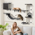 ensemble mur d’escalade félin moderne