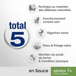 Chat senior stérilisé dégustant pâtée PERFECT FIT dans salon contemporain haut de gamme