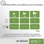 Gros plan sur texture en sauce pâtée luxe chat senior pour appétence maximale
