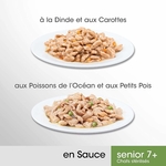 Bol design rempli de pâtée en sauce dinde pour chat senior stérilisé dans intérieur moderne