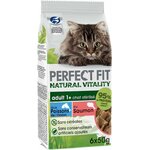 raffiné félin : levure vitamines B énergie chat quotidien.