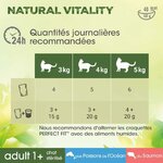 Produit haut de gamme félin : saumon poissons océans prébiotiques intestin.