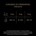 Chat adulte dégustant pâtée volaille premium en sauce dans gamelle élégante