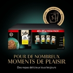 Coffret 40x85g pâtée premium chat adulte estomac sensible volaille